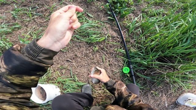 РЫБАЛКА НА ПОПЛАВОЧНУЮ УДОЧКУ