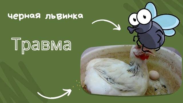 Выход из строя бойца.
