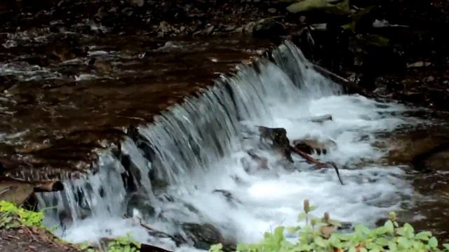 КАРПАТИ: Синевир, Шипіт, Міжгірʼя.