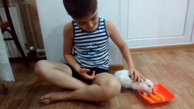 Заюня Пончик.Как его содержать.
