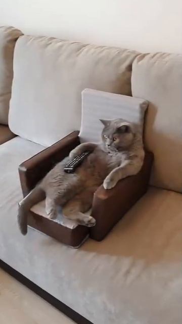 После рабочего дня можно и отдохнуть😁