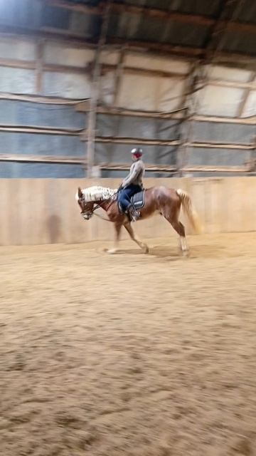 Анна и Каспер, вольт на галопе 15 метров. #horse, #equestrian, #лошади, #pony, #конный спорт.