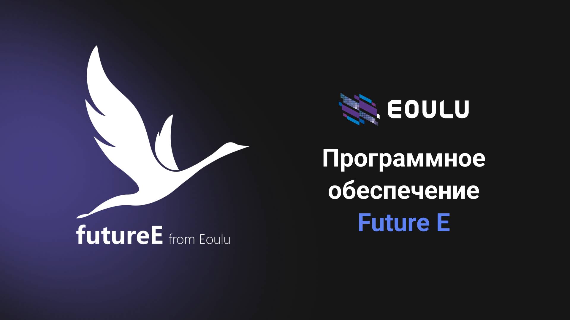 Future E_Программное обеспечение