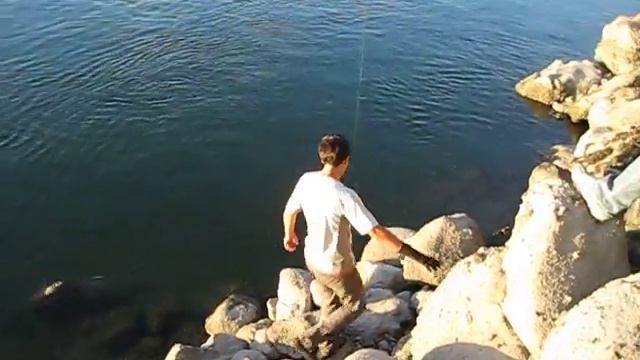 Sturgeon Fishing Bonneville Dam, August 2009, Alisher