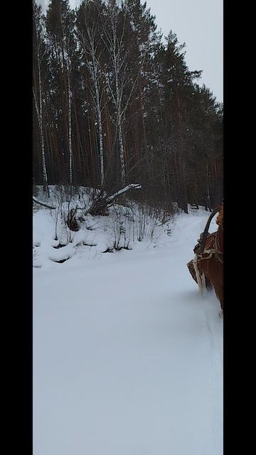 VID_20250222_123330