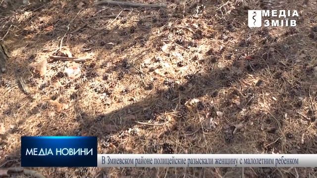 В Змиевском районе полицейские разыскали женщину с малолетним ребенком