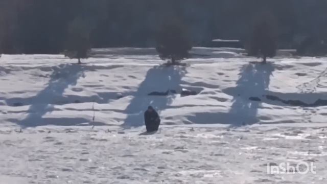 1000054293.mp4