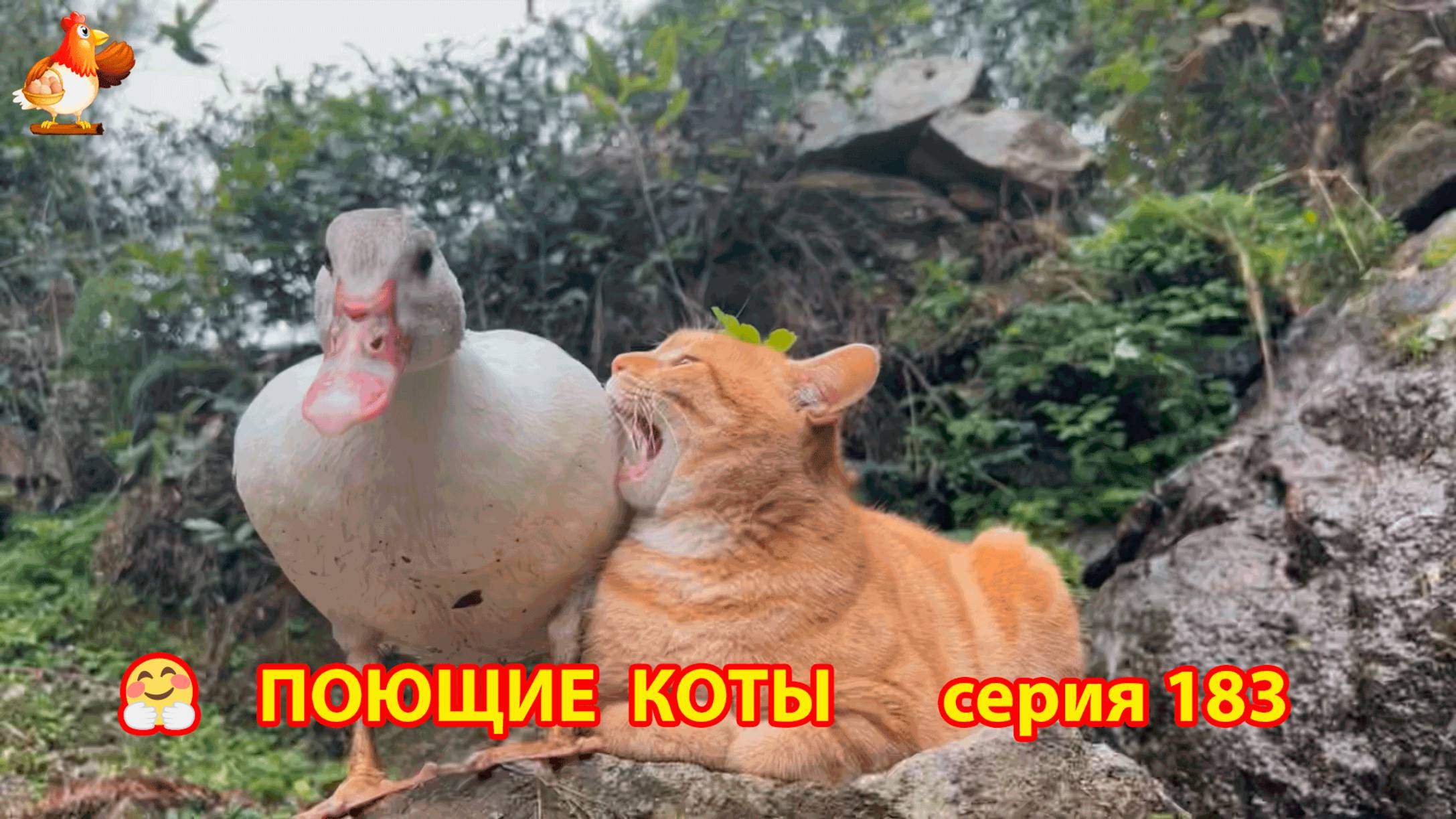 Крутые коты у птичьего двора серия (183) 🐈🐈😹 Природа Абхазии и подворье с птицами и животными ❣