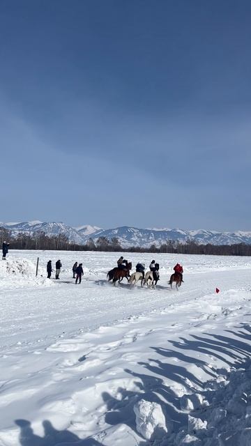 Наши выходные прошли так, что для того чтобы от них отдохнуть, нужны еще одни выходные )😅🤪