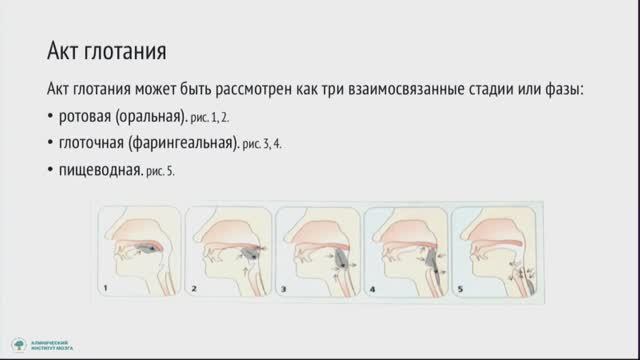 Нейрореабилитация - 2018 Белкин А.А