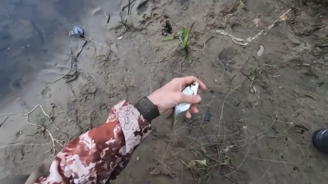 РЫБАЛКА НА ЦНЕ № 1