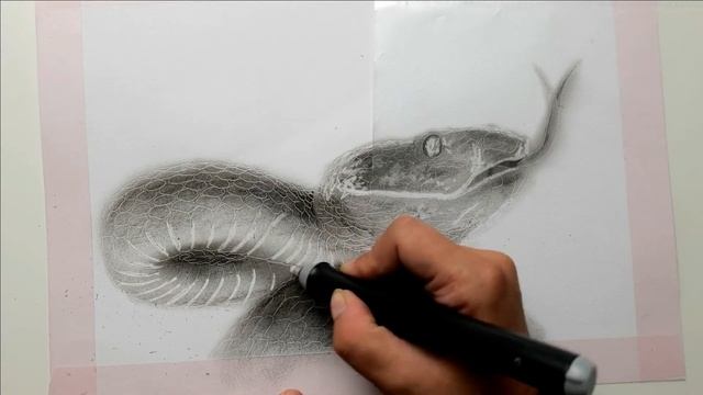Schlange zeichnen / realistisches Tierportrait / Malen mit Kohlestiften / schnelle Technik Tutorial