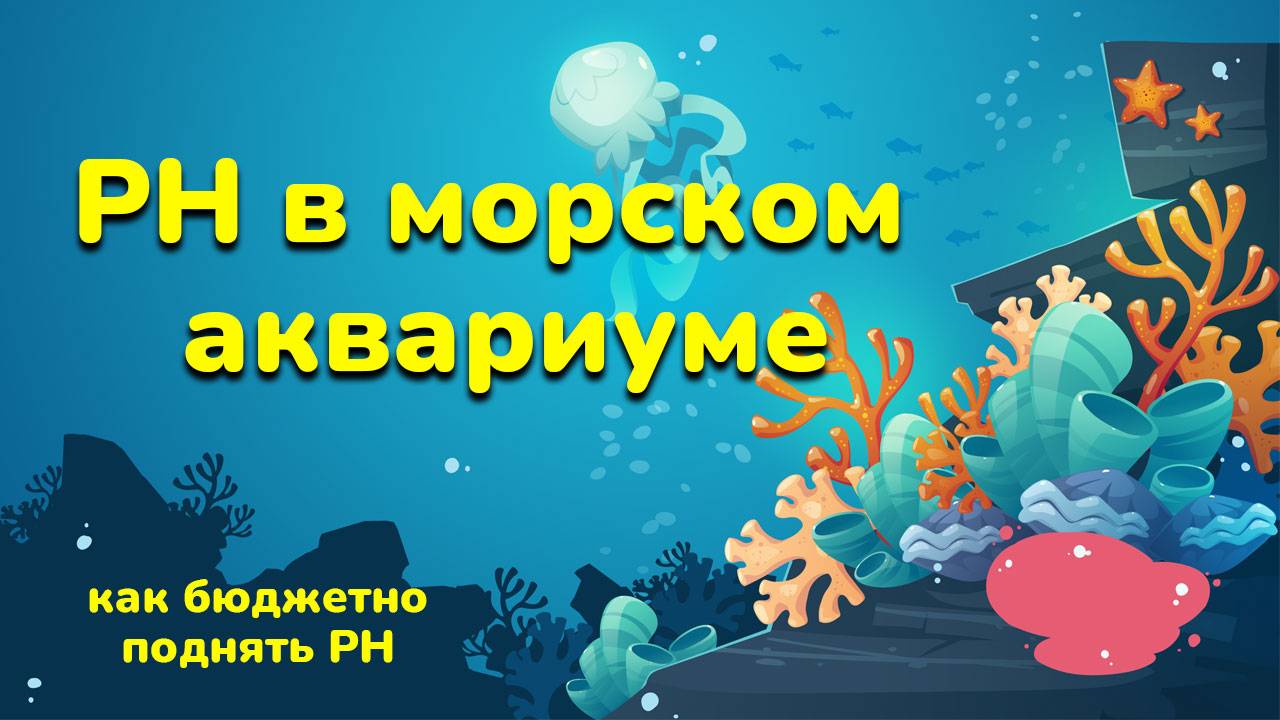 Как бюджетно поднять Ph в морском аквариуме
