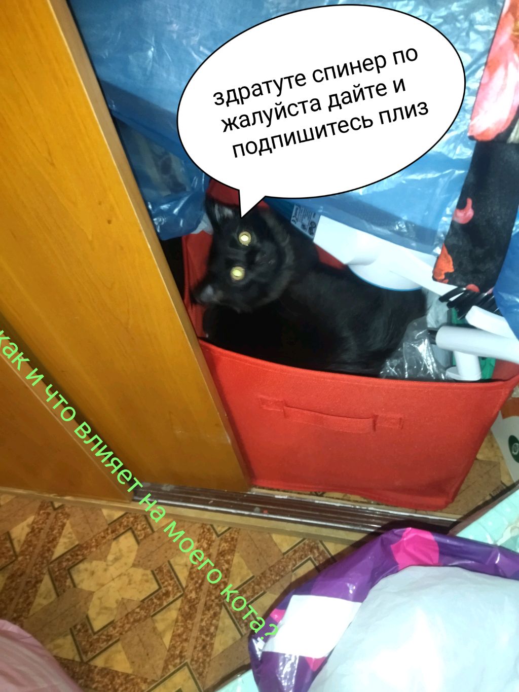 хз роблокс