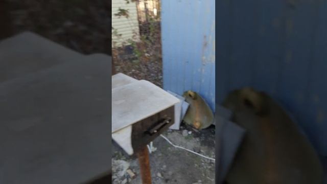 Мое копчение