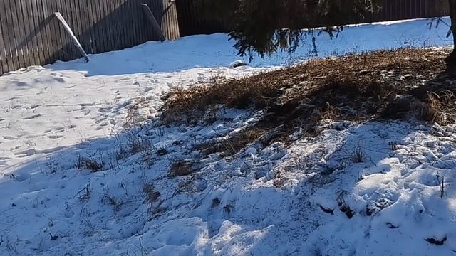 ЖИЗНЬ В ДЕРЕВНЕ _ УСТАНОВИЛИ ФИЛЬТР НА ВОДУ _ ЖИЗНЬ ХОРОША 23.02.25г.