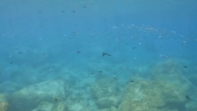 Yellow Submarine 🇬🇷 Rhodes Greece