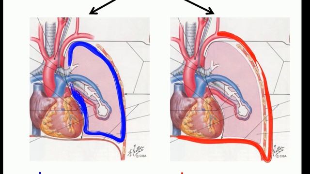 Evidence- and physiology-based settings of mechanical ventilation in ARDS Michael Quintel 2014