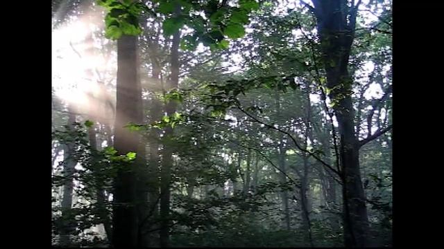 На Главный кавказский хребет 2006г.