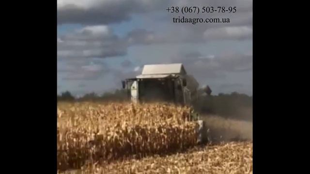 Жатка кукурузная Claas Conspeed 8-70 (2012)