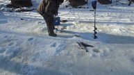 27.02.25 г. Парк отдыха водопад