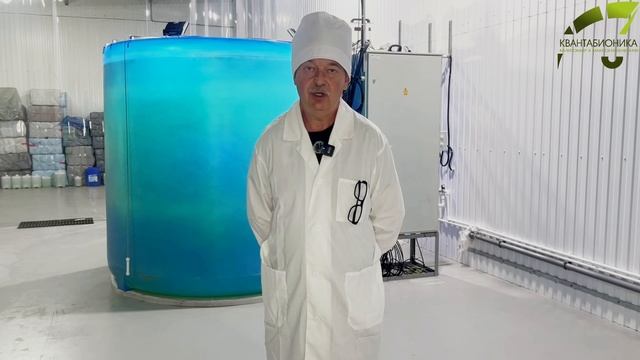 Хлорелла для Кур и Индюков: Улучшение яйценоскости и прирост мяса - Квантабионика
