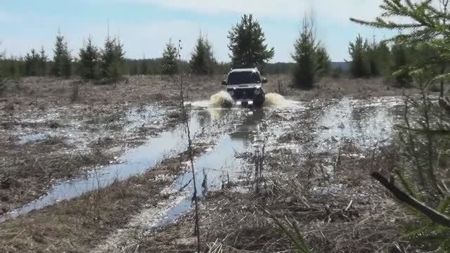 Открытие пчеловодного  сезона после зимовки....возможно последнего (