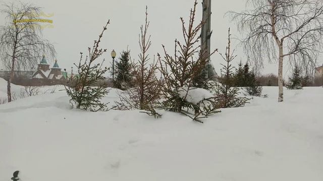 Воркута. 27.02.25. Сквер на площади Победы.