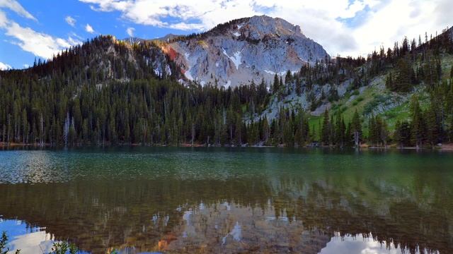 4K Расслабляющая сцена природы