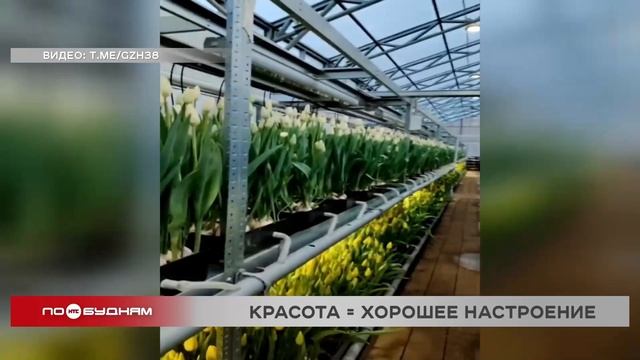 «По весточке»: красота = хорошее настроение