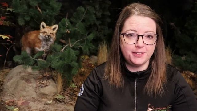 Ontario's Foxes JK to Gr. 3