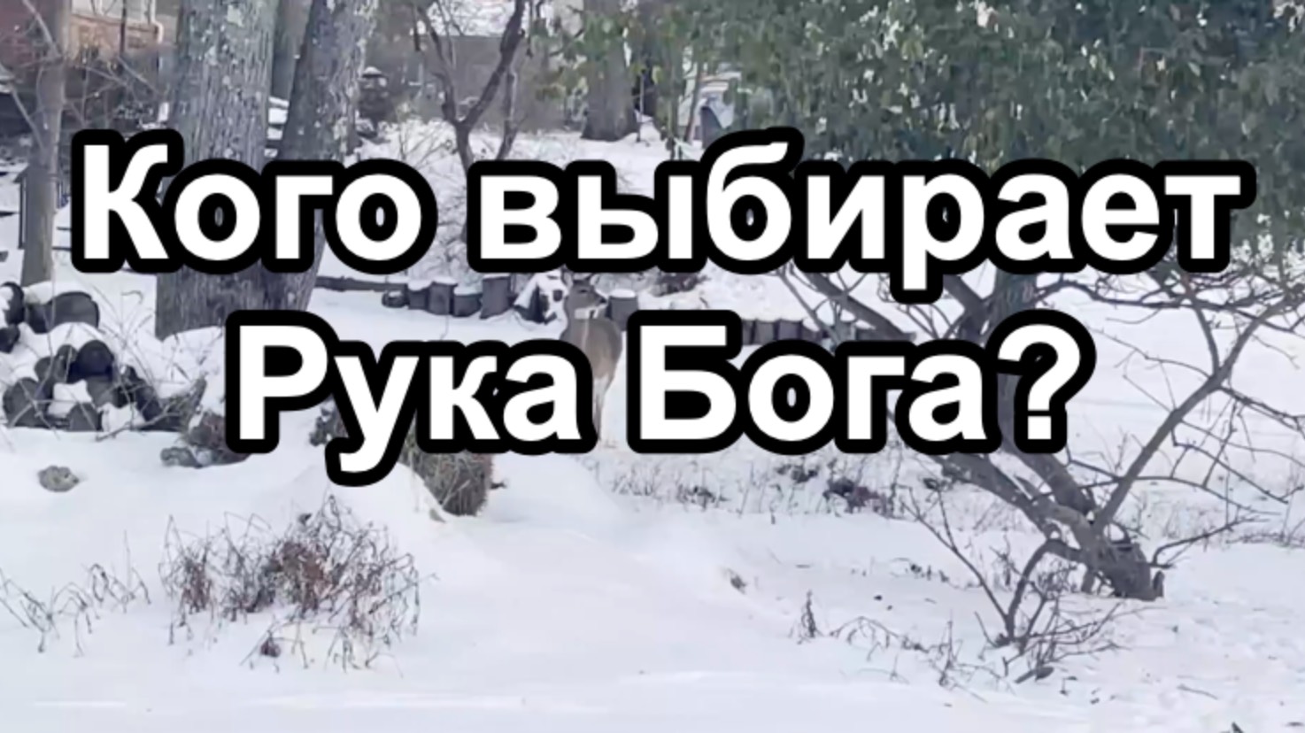 Кого выбирает Рука Бога?