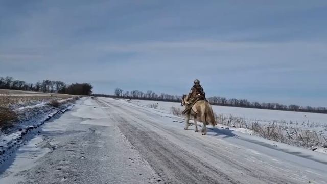 Наши бойцы все чаще используют коней в зоне СВО