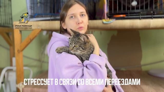 Малыша Уэйна вернули в приют. Поддержать⬇️