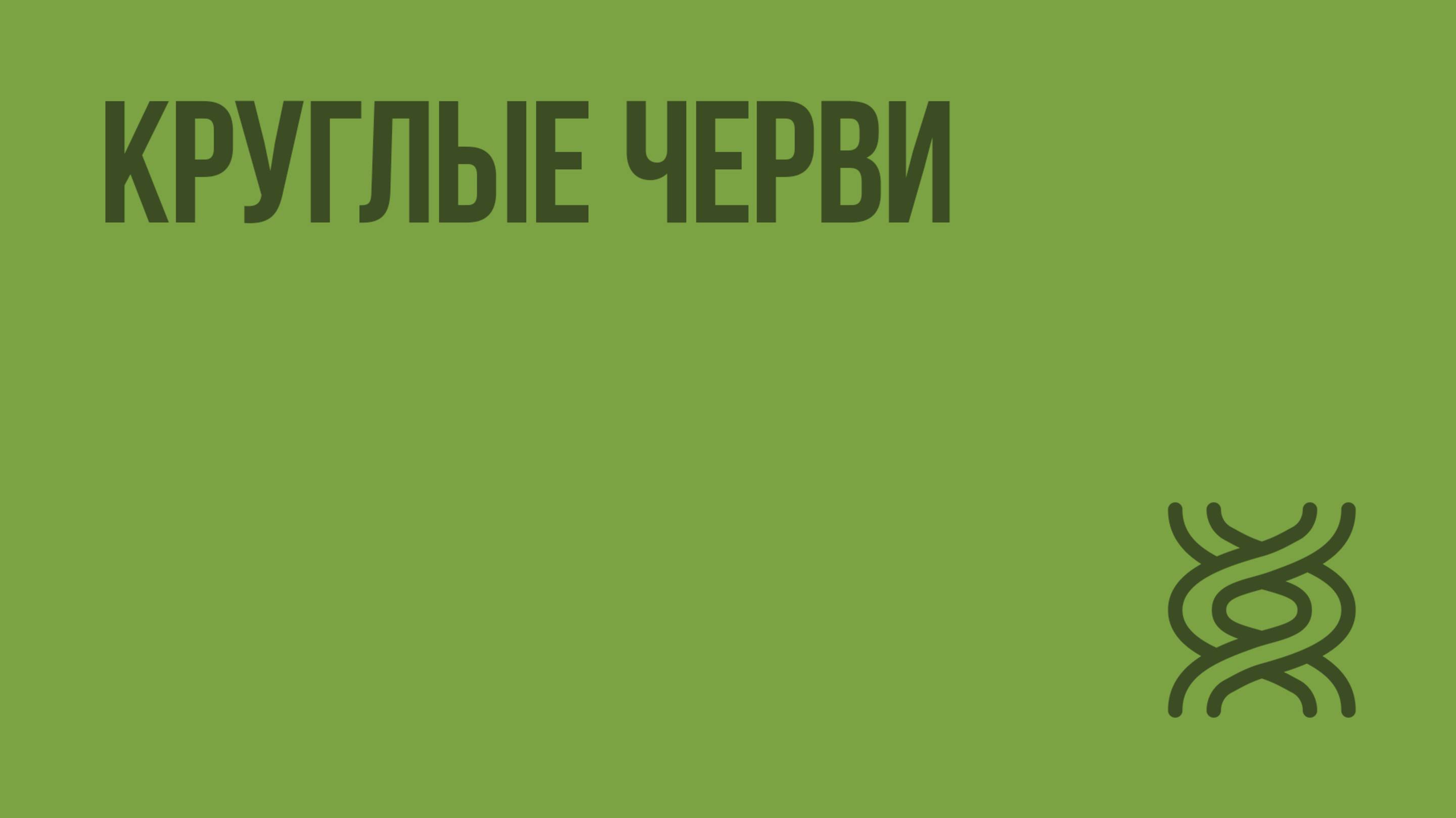 Круглые черви. Видеоурок по биологии 7 класс