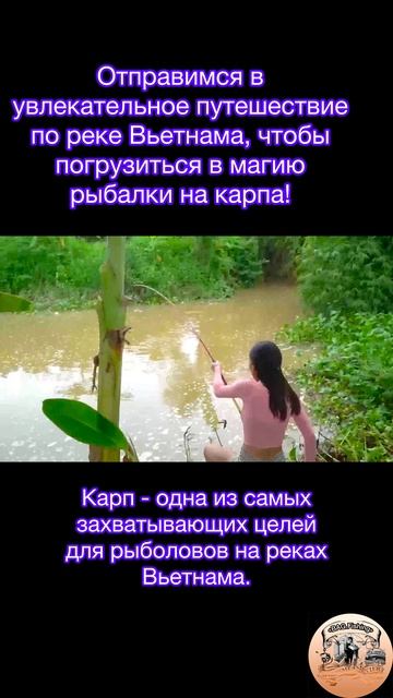 Отправимся в увлекательное путешествие по реке Вьетнама, чтобы погрузиться в магию рыбалки на карпа!