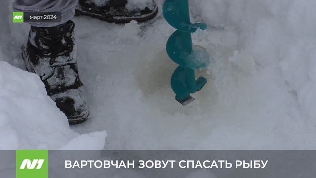 Вартовчан зовут спасать рыбу на Комсомольском озере