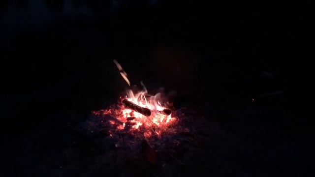 Нежная музыка у костра