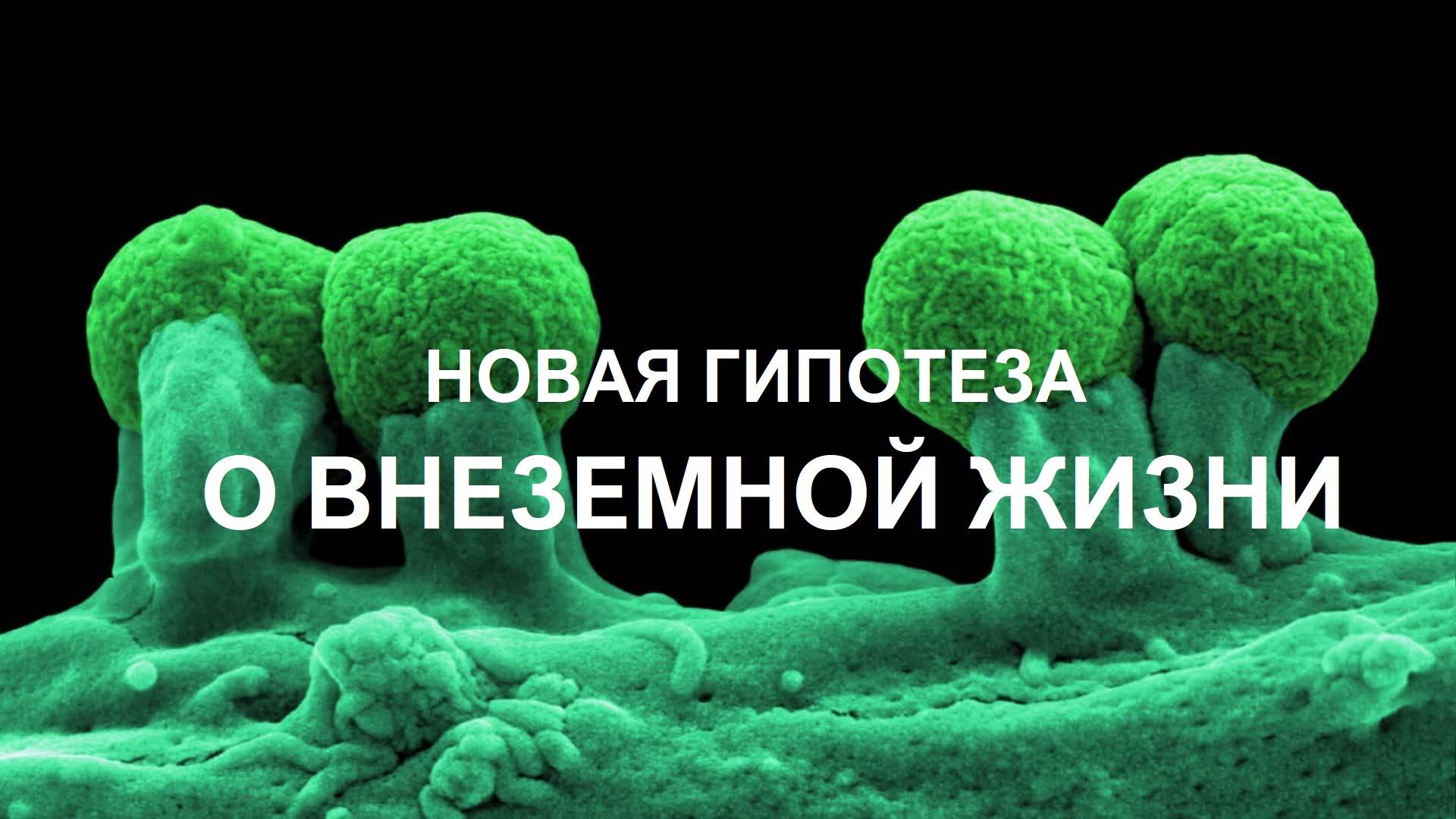 Жизнь на основе серной кислоты