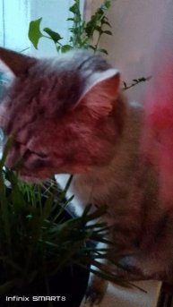 Кому вода и хлеб, а нашему начальному сено. Ибо не фиг оставлять кучи...