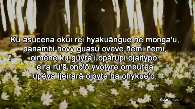 CHE VALLEMI - MI VALLE - Ñe'ẽpoty - Poesía hecha canción en Guaraní.