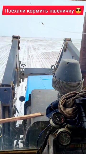 Подкормка озимой пшеницы по ТМП 23.02.2025