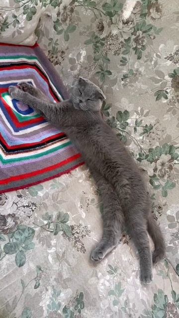 sindicat на качелях)