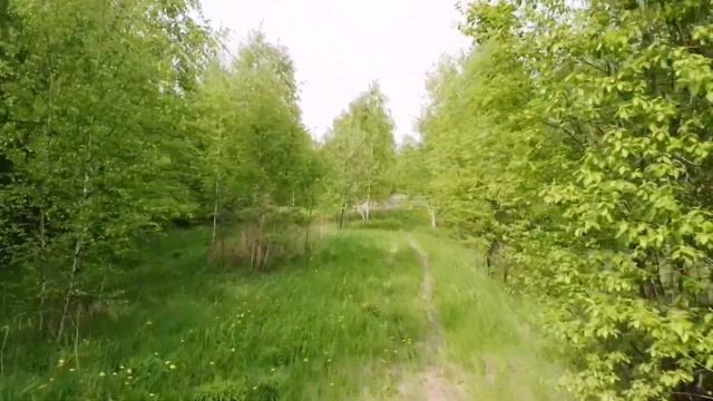 Первый полет Dji mavic mini.