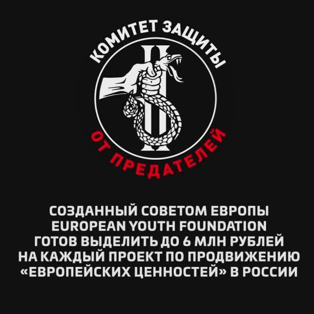 European Youth Foundation выделит до 6 млн рублей на продвижение «европейских ценностей» в РФ