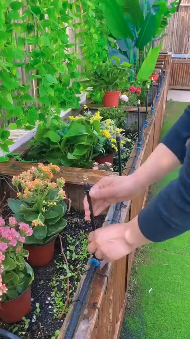 💦Лучшее устройство для полива цветов и овощей! #shorts #garden #советы
