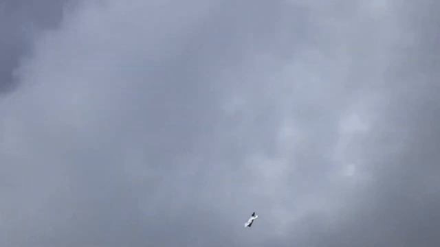 Швеция начала процесс списания тренировочных самолетов Saab 105