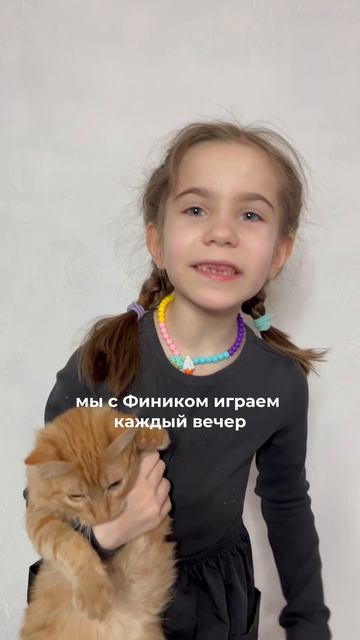 Заказывайте классную дразнилку для кота и спите спокойно 🙈😴