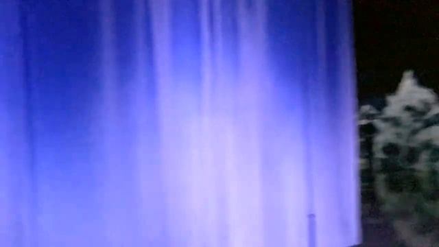 Vlog: Hiroshi Senju & teamLab collaborative digital art exhibition 'Waterness'