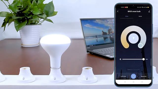 BR30 Smart led bulb